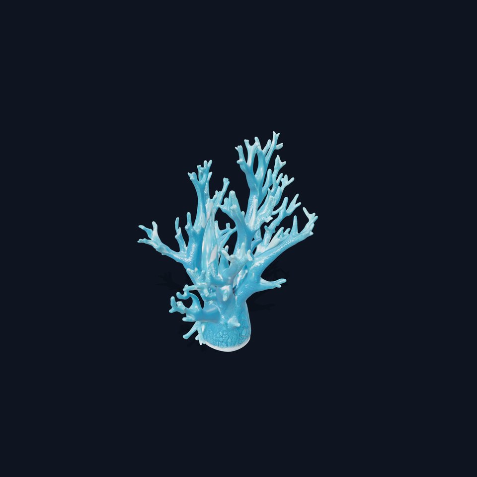 Coral Reef Structure Model Pack for D Rendering